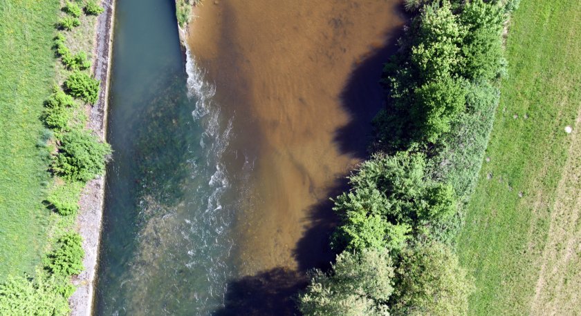 Luftbild einer Gruppe von Fische in einem Fluss mit warmem und kaltem Wasser